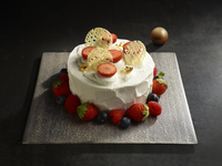 クリスマス ストロベリー 15cm