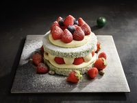 Christmas Thompson 12cm