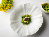 【Dinner Course 3 dishes】Starter+Main+Dessert