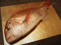 Curso de 19.800 yenes (1 persona)