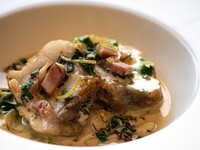 Lunch buffet with a choice of main course [January]