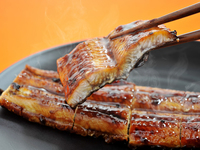 [a la carte meal] Grilled eel　【KABAYAKI】