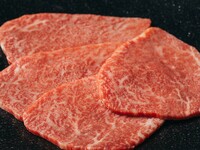 selected WAGYU course