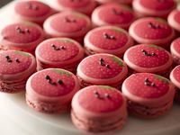 [Weekday Only] Strawberry Buffet ~Strawesome Festival!~ (Ages 4-12)