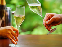 【平日/11時半,12時,13時半限定Lunch】乾杯酒付き窓確YASAKA ※~12/19