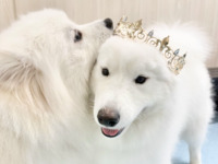 <Winter Holiday Period> Regular ticket (50 minutes)