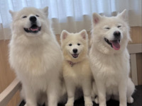 ≪겨울 휴가 기간 ≫통상 티켓(50분)