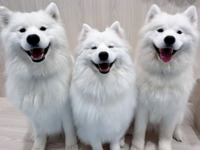 ≪겨울 휴가 기간 ≫통상 티켓(50분)