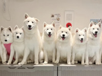 <Winter Holiday Period> Regular ticket (50 minutes)