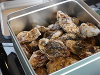 【牡蠣小屋メニュー】酒蒸しセット