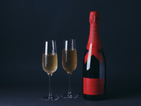 [12/20-25 Limited Option] Champagne by the Glass ~Moët & Chandon~ +1,800 yen