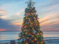 CEDROS SPECIAL CHRISTMAS DINNER