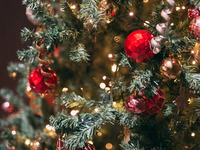 【12/24.25クリスマス限定】メインを選べる「北イタリアの冬」プレミアムセミビュッフェ