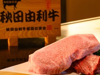 DINNER COURSE -Yuri Beef-