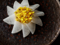 【ディナーコース5品】日本の美食の旅 Vol.5「 京都 meets 金沢 」 