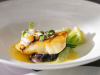 カジュアルにコースを楽しむ♪ベーシックコース