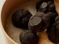 Black Truffe Chef's special seasonal course -Eight Courses-