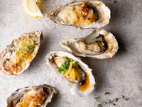 冬の贅沢牡蠣コース