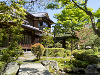 Limité à 3 services par jour — Afternoon Tea saisonnier spécial de 桜鶴苑