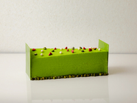 Yuzu from Mizuo, Kyoto and pistachio Buche de noel
