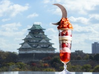 Strawberry Parfait "SHOGUN"