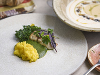 [Weekday Lunch] PLANTS: A 4-course meal including spring vegetable terrine and chilled new onion potage.