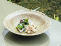 【平日ランチ】PLANTS 　全4品コース