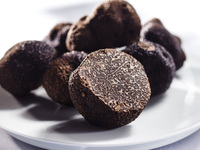 2026 フレッシュトリュフ賞味会 43,000円(1/30、1/31、2/1)