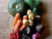 Reservation-only Vegetarian Course: Amuse-bouche, bread, cold appetizer, pasta, main course, and dessert (6 dishes)