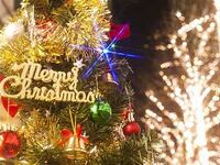 晚上9:30 限定 / 灰姑娘圣诞节 [12月20日至21日 / 12种选择] 人间百景圣诞晚宴 - 璀璨夜景与日式料理的盛宴 - 含香槟祝酒