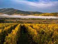 ワインメーカーズディナー【ドメーヌオステルタグ】