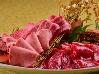 Lunch only [Yakitori Only Set] Today is meat day! We have prepared a set to enjoy on such a day. We have 12 carefully selected yakiniku slices! You can choose the ratio of salt and sauce seasoning. *The photo shows the portion for two people.