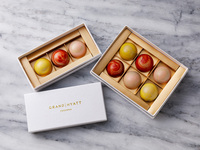 トリロジー・ヴィーガン　チョコレート｜6個入り