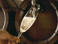 2026/1.2.3【WEB限定】女子会プラン：フライデーディナー