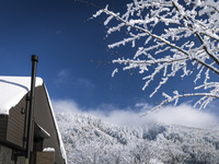 ENNU Chef's Choice Lunch Course