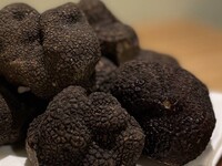 [Limited time black truffle course] Dinner course