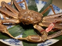 活松葉蟹半身コース12月～1月