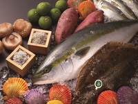 【2月ランチ】大分佐伯フェアー♪大分・佐伯の魅力を詰め込んだランチビュッフェです