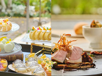 【平日限定】◇スイーツ8種を選べるデザートワゴン付き◇季節の前菜やパイ包みスープ、メイン料理を味わうハーフコース全4品-SEASON-