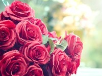 プロポーズプラン28000円