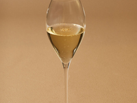 Last minute 10% off [with toast] Christmas dinner (weekday) ¥22,500