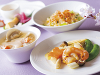 Lunch course “SAKURA“ with 1 drink