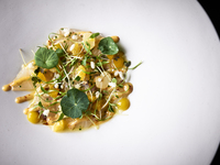 Menu Valentine｜Table seats