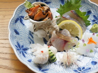 【日付限定ランチコース】【スタンダード】地魚のコース／竹野漁港の地魚を使用したお料理全9品