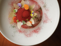 【Lunch 4- Course】Seasonal Lunch Course  'Together' 