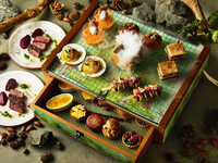 ◆フォレストブーストのご案内◆