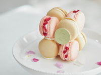 【記念日ディナーB】≪大聖堂ビュー席≫マカロンケーキ＋乾杯酒付き