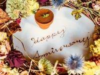 Birthday plates to brighten up your anniversary
