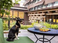 Dog Day Limited! 【Dog Friendly】 Reserve a seat only（Dinner）