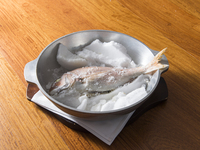 天然鳴門鯛の塩釜包焼き（2名様分～）
